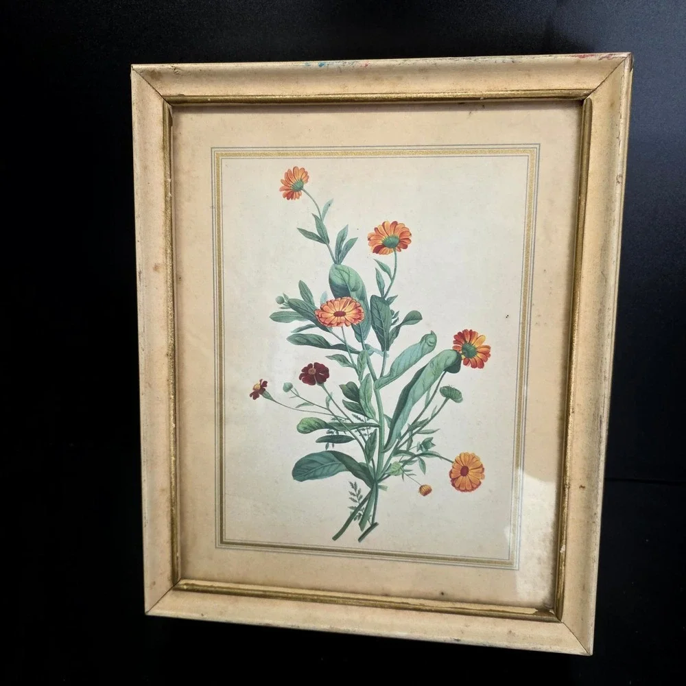 Cottage Core Jewelry Box Cream Vintage Botanical Floral Gold Gilt Mirror Decor